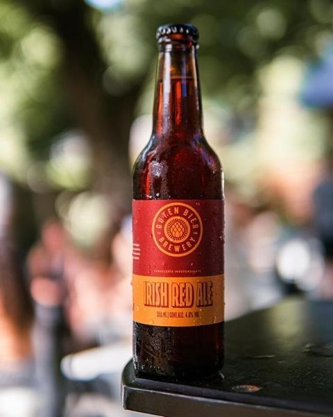 Guten Irish Red ALE - PACKx6 - FIESTA BIRRERA