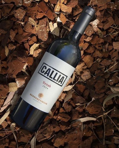 Callia syrah - FERIA DE VINOS