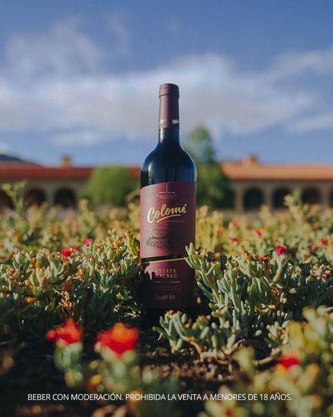 Colomé estate malbec