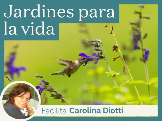 Jardines para la vida. Cómo convertir tu espacio verde en un refugio para la naturaleza