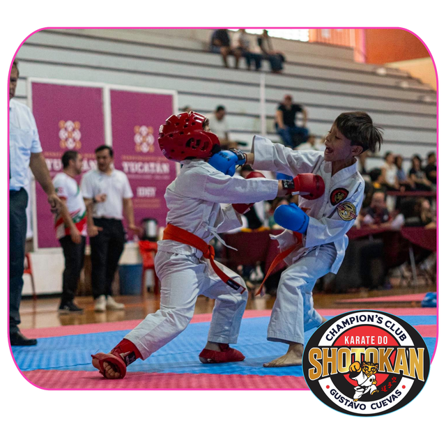 Karate Do Shotokan