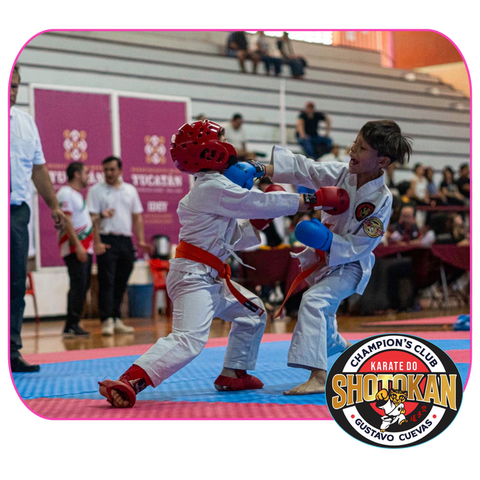 Karate Do Shotokan