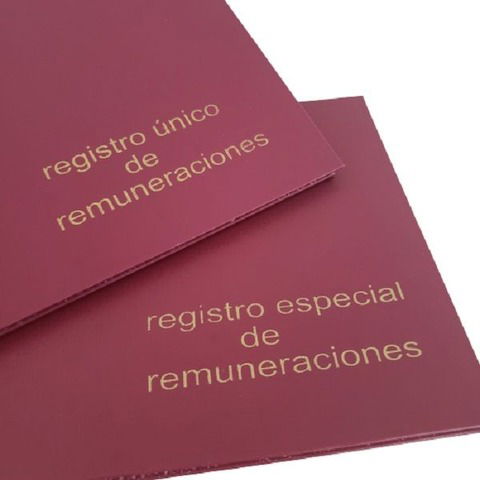 Registo Único De Remuneraciones Rab