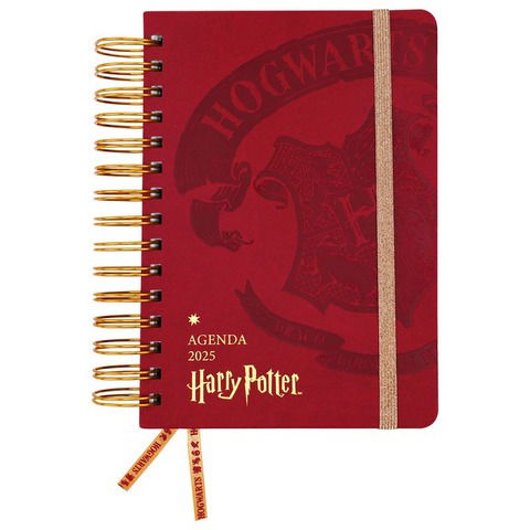 Agenda Mooving Harry Potter 14x20