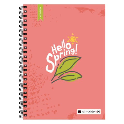 Agenda Citanova Nº8 Centenario Diaria Spring