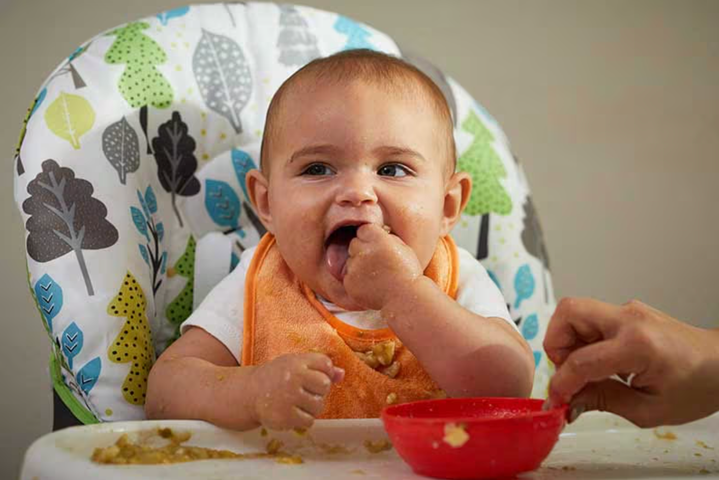 Alimentación complementaria