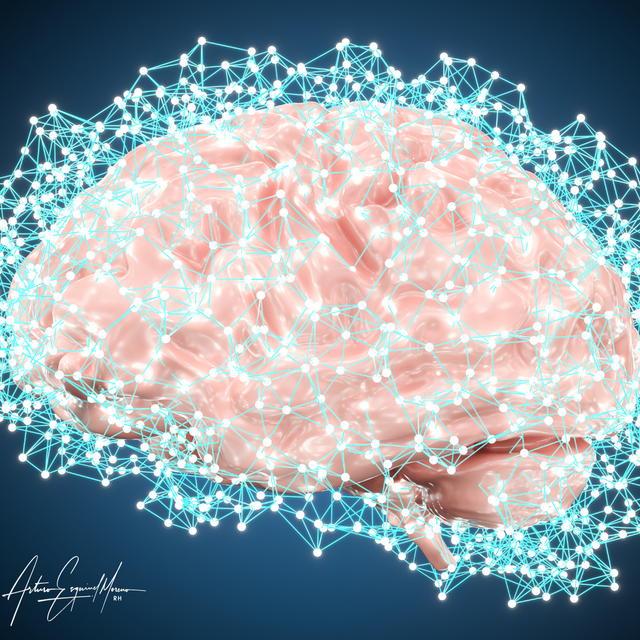 La Teoría de la Carga Cognitiva