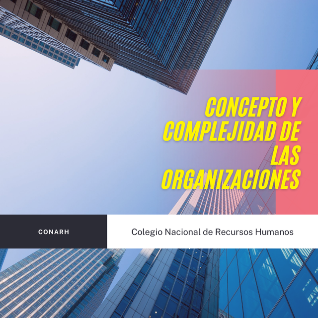 Concepto y complejidad de las organizaciones