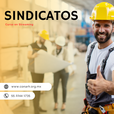 Curso de Sindicatos