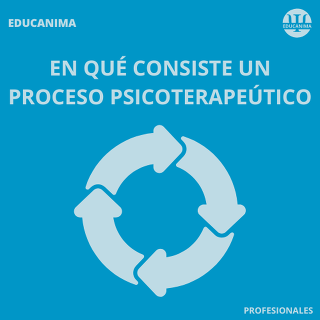 EN QUÉ CONSISTE UN PROCESO PSICOTERAPÉUTICO