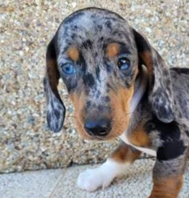 Sofía R. – Dueña de “Mora”