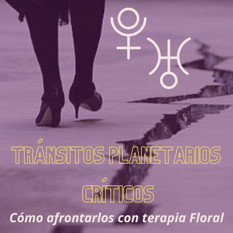 Tránsitos Planetarios Críticos y Terapia Floral