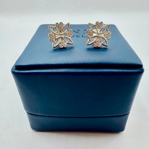 Aretes Espiral Protectora