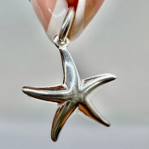 Dije Estrella de Mar