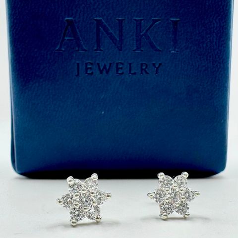 Aretes Flor de 6 Puntas