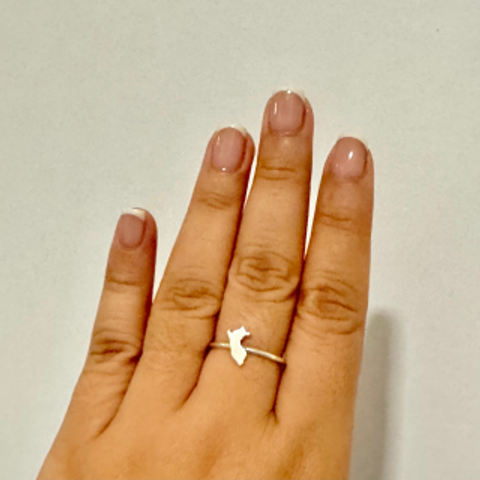 Anillo Perú