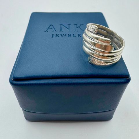 Anillo Envolvente