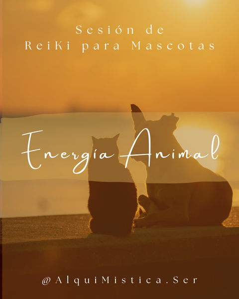 'Energía Animal' - Reiki + Armonización Energética para Mascotas a Distancia