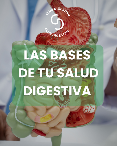 LAS BASES DE TU SALUD DIGESTIVA - GRABADO