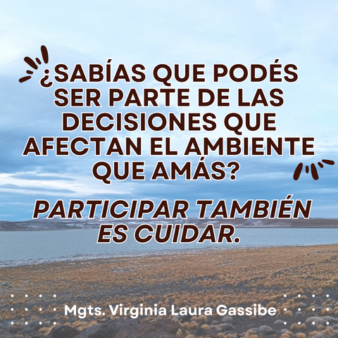CURSO: Participación Ciudadana, Políticas Públicas y el Acuerdo de Escazú