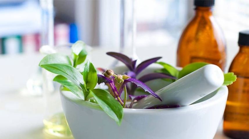 Plantas que Curan, dictado por el Dr. José Luis Torolla.