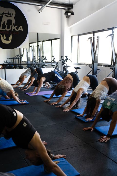 CoFit Connect - 16 de Noviembre