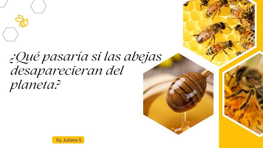 ¿Qué pasaría si las abejas desaparecieran del planeta?
