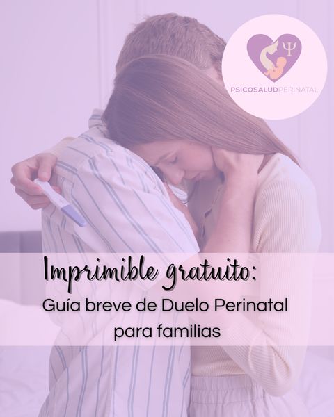 Guía breve de Duelo Perinatal pra familias