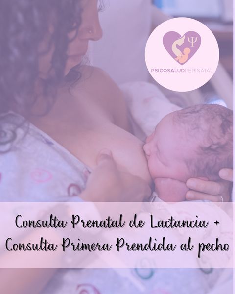 Consulta Prenatal + Consulta Primera Prendida