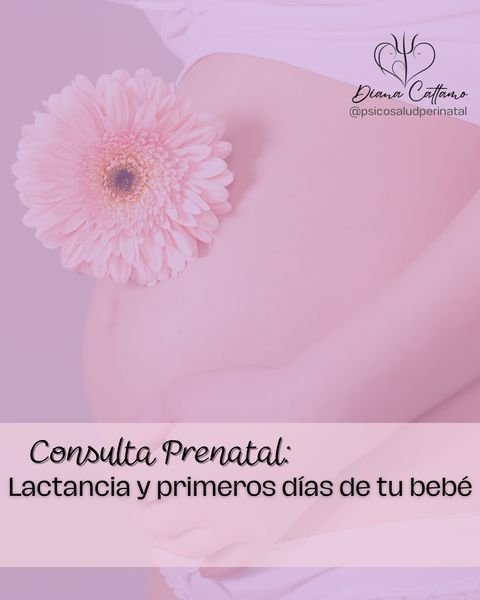 Consulta Prenatal de Lactancia y Primeros días del Bebé Modalidad Online