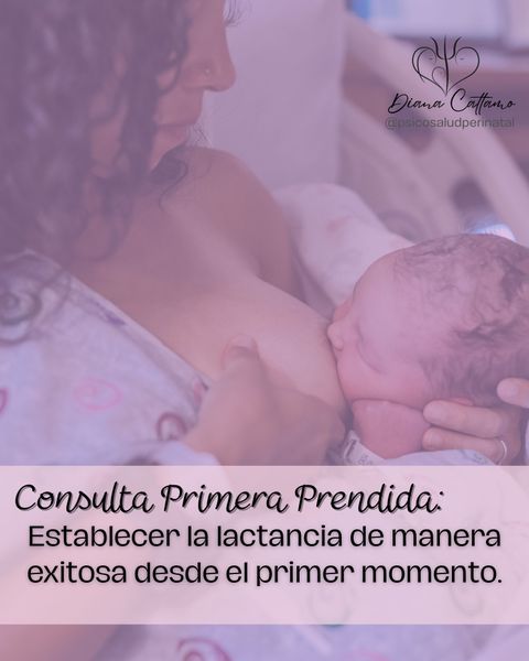 Consulta de primera Prendida al Pecho