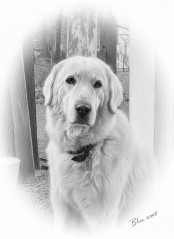 El animal que nos acompaña como miembro de NUESTRO SISTEMA FAMILIAR