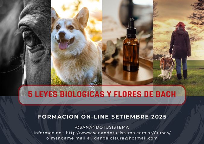 5 LEYES BIOLOGICAS y Flores de Bach - Edicion 2025 (Grabada)