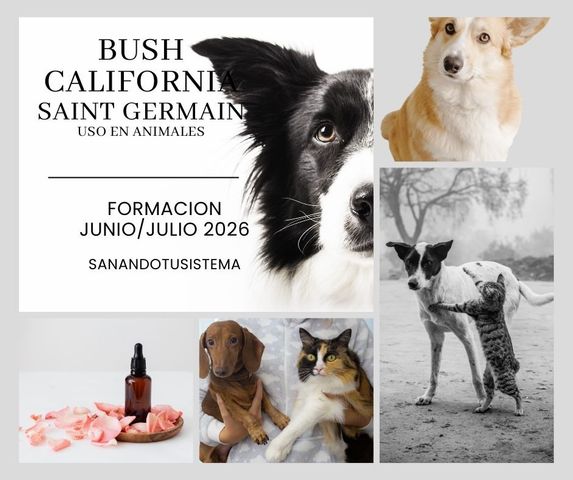 Curso Esencias BUSH, CALFORNIA Y SAINT GERMAIN en Animales - Edicion 2026