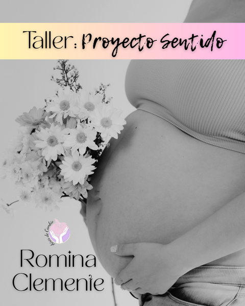 TALLER PROYECTO SENTIDO - Prof. ROMINA CLEMENTE 
