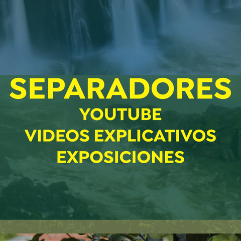 Pack de 15 SEPARADORES ANIMADOS