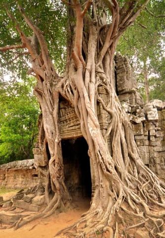 Año 8 en Numerología