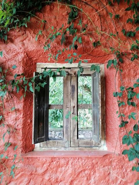 Año 4 en Numerología