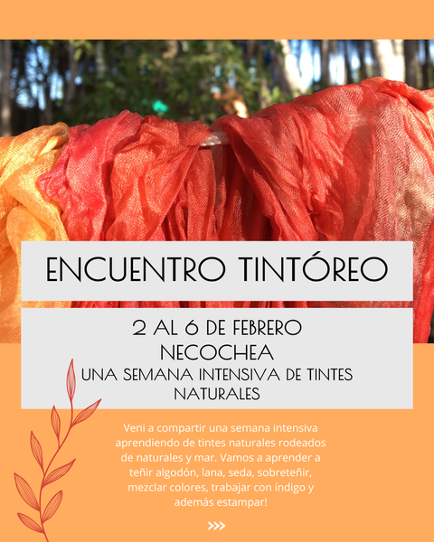 ENCUENTRO TINTÓREO / FEBRERO 2026 / NECOCHEA