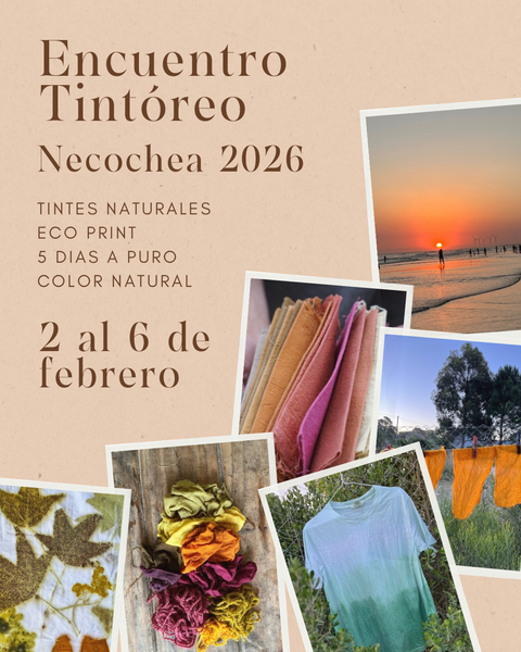 ENCUENTRO TINTÓREO / FEBRERO 2026 / NECOCHEA