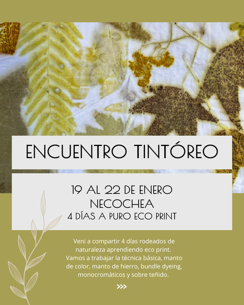 ENCUENTRO TINTÓREO / NECOCHEA / ENERO 2026