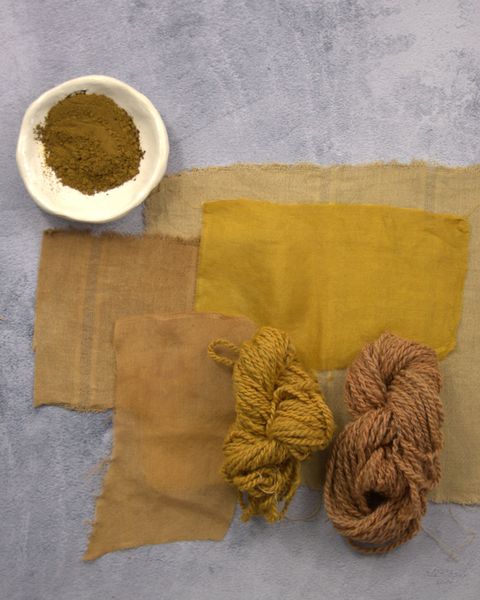 EXTRACTO DE RUIBARBO X 15 GRAMOS