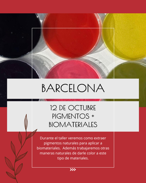 BARCELONA / SEÑA TALLER DE PIGMENTOS NATURALES Y BIOMATERIALES
