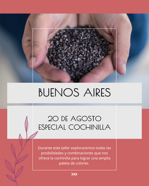 TALLER INTENSIVO DE COCHINILLA