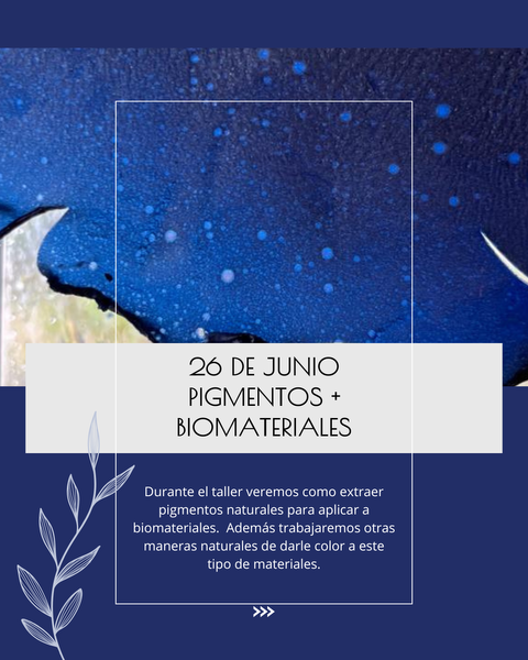 TALLER DE PIGMENTOS Y BIOMATERIALES / 26 DE JUNIO