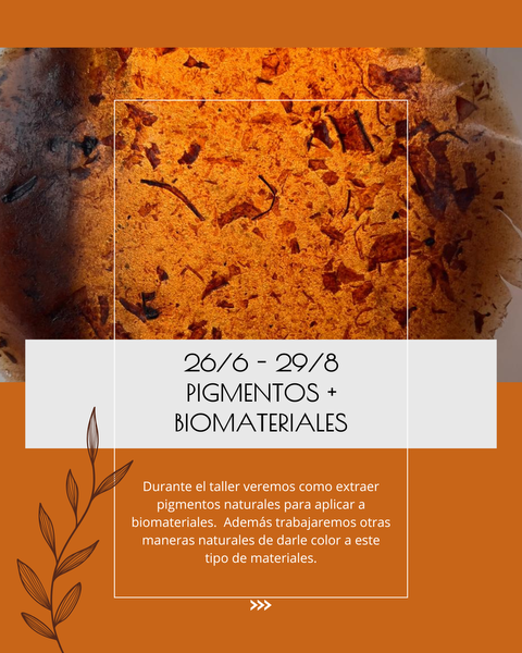 TALLER DE PIGMENTOS Y BIOMATERIALES 