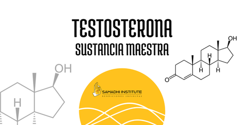 TESTOSTERONA: Sustancia Maestra