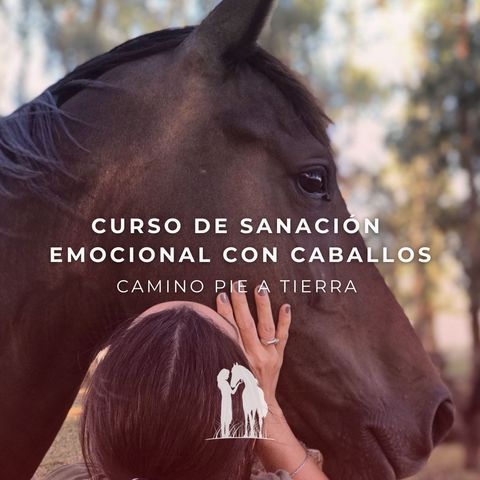 Curso de Sanación Emocional con Caballos (Lunes F25B 15hs)