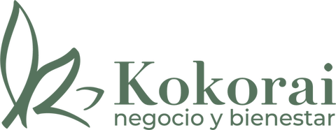 Kokorai Mentoring