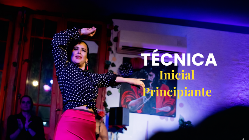 Técnica flamenco inicial/principiantes